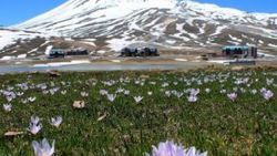 Erciyes Dağı'na bahar geldi