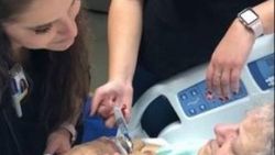 Hemşirenin yaşlı hastaya ölmeden önceki son şarkısı