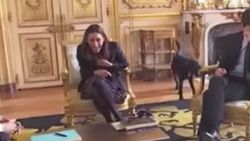Emmanuel Macron'un köpeği şömineye işedi