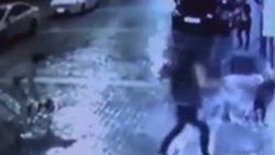 Üzerine pitbull saldıkları sokak köpeğini bıçakladılar