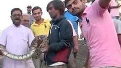 Selfie çekmek istediği piton omzunu ısırdı