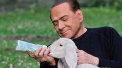 Berlusconi'nin kuzu aşkı