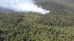 Çanakkale'de orman yangını