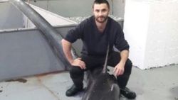 Tekirdağ'da köpek balığı yakalandı