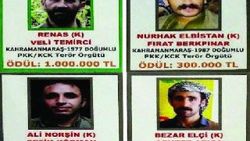 Başına 1 milyon lira ödül konan terörist öldürüldü