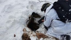 İçişleri Bakanlığı'ndan terörle mücadele bilançosu