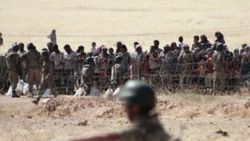 Kobani'de silah sesleri yükselmeye devam ediyor