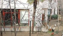 Haydar Dümen'in tavukları komşusunu rahatsız etti