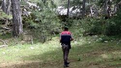 İzmir'de at izi, jandarmayı uyuşturucuya götürdü