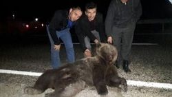 Çarparak öldürdüğü ayıyla hatıra fotoğrafı çektirdi