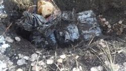 Bitlis'te el yapımı patlayıcı ele geçirildi