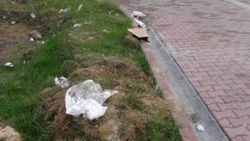 Oyun oynayan çocuklar bebek cesedi buldu