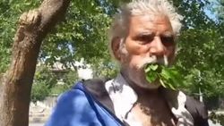 Ağaç yiyerek yaşayan Pakistanlı