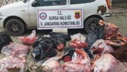 Bursa'da at eti satanlara baskın