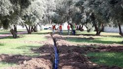 Bayraklı’nın parklarına akıllı sulama sistemi