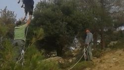 Yunanistan'da gündem: Tellere asılı kalan keçi