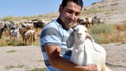 10 milyon yıl önce yaşamış fil fosillerini çoban buldu