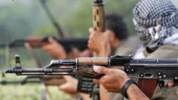 PKK Bitlis'te araç yaktı