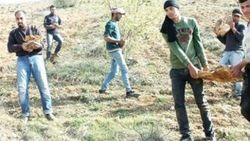 3 bin 800 Suriyeli resmen işçi oldu