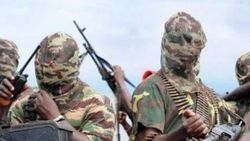 Boko Haram Gwoza'da onlarca kişiyi öldürdü