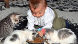 Gecekondudaki kedilere yardım yağdı ama bebek aç kaldı