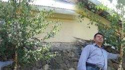 Duvarın içinde ağaç yetişti