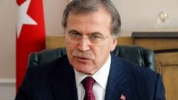Ak Partili Şahin'den Berkin Elvan'ın annesine tepki