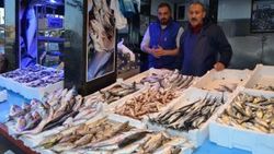 Palamut tezgahlardan çekiliyor