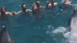 Muğla'da tatilcilerin yunuslarla horon keyfi
