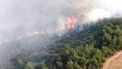 Fethiye'de 20 hektar ormanlık alan yandı