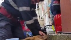 İtfaiyeci köpeği suni teneffüs ile hayata döndürdü