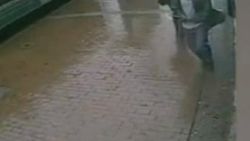 ABD'li bir kişi polislere baltayla saldırdı
