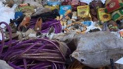 Tunceli'de PKK'lı teröristlerin yaşam alanları imha edildi