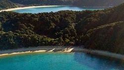 Tasman Denizi'nde su altı volkanları keşfedildi