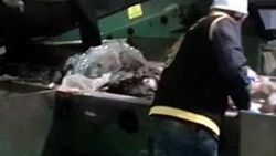 Adana'da vahşet: Öldürdüğü kadını 5 parçaya böldü