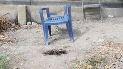 Adana'da bir kişi hamile eşini çocuğunun önünde öldürdü
