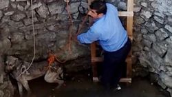 Kuyuda mahsur kalan köpeği vatandaş kurtardı