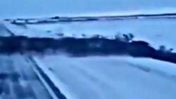 Rusya'da binlerce geyiğin göçme anı