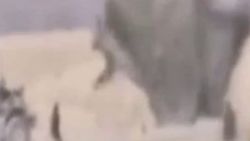 El yapımı bombayı etkisiz hale getirirken havaya uçtu