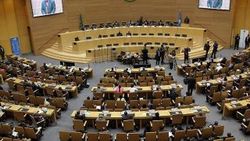 Afrika Birliği: BM'den veto hakkı istiyoruz