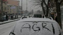 Ağrı'da kar yağışı etkili oldu