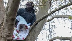 Almanya'da Sudanlı kadın ağaçta eylem yapıyor - İzle