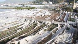 Antalya'daki afetzedelere 10 milyon liralık yardım