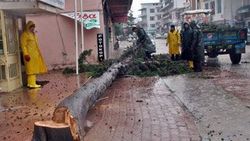 Antalya'da fırtına nedeniyle okullar tatil