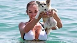 Köpeğini kapan plaja koştu
