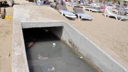 Side Plajı'nda yayılan kötü koku rahatsız ediyor