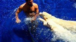 Arda Turan köpekleriyle yüzdü
