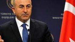 Çavuşoğlu Almanya'da