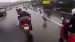 Motosikletçiler köprüdeki köpek için eskortluk yaptı - İzle
