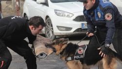 Suçlulara geçit yok